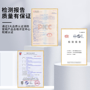 เครื่องตรวจจับก๊าซมาตรฐานแห่งชาติใหม่ JT FL 310 เครื่องตรวจจับก๊าซไวไฟในครัวเรือนสำหรับห้องครัว การตรวจจับก๊าซเหลว ก๊าซถ่าน ก๊าซมีเทน - Product Image 2