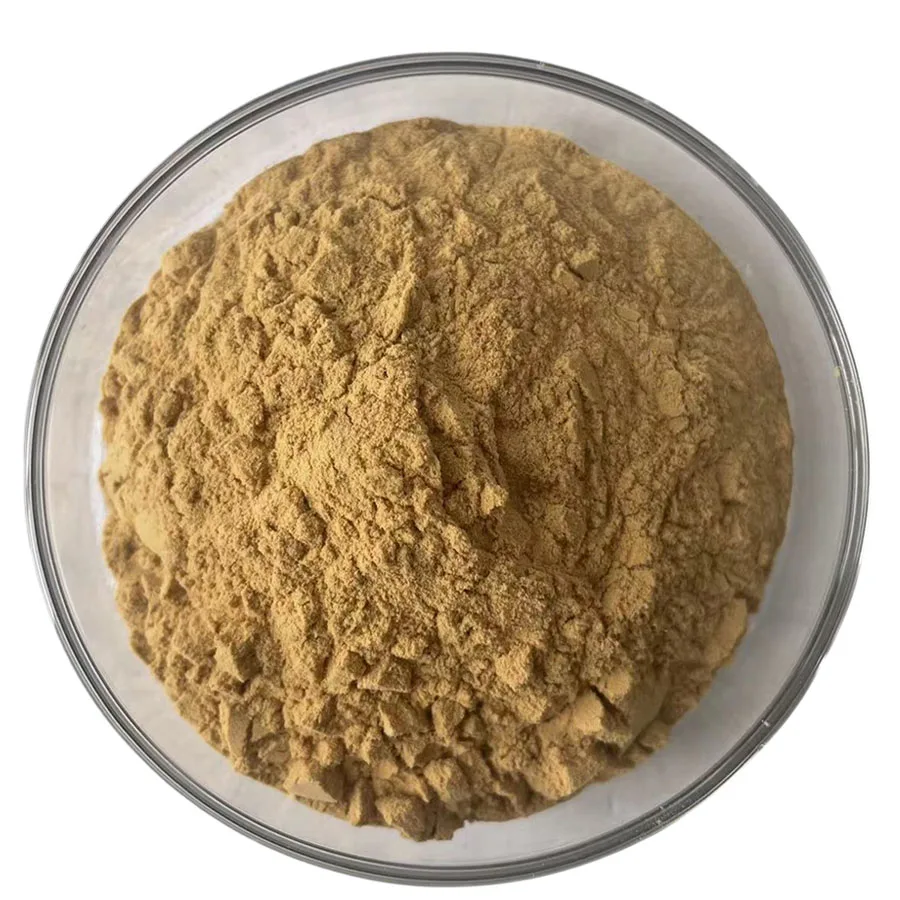 Натуральный экстракт Bacopa Monnieri, 50% порошок Bacopa Monnieri, экстракт Bacopa Monnieri