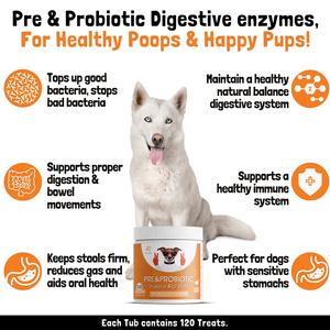 Probióticos masticables suaves para <span class=keywords><strong>perros</strong></span> más vendidos 120, probióticos masticables para la salud intestinal para <span class=keywords><strong>perros</strong></span>, alergias estacionales y picazón en la piel - Product Image 5