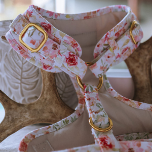 Sunraymascota パーソナライズ ラグジュアリー デザイン カスタム 快適 プレミアム 調節可能 ペット ハーネス メーカー 犬用 ハーネス セット - Product Image 5