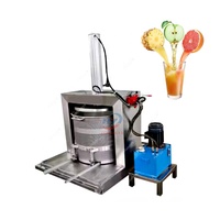 Presse à froid hydraulique électrique en acier inoxydable Presse-agrumes pour pommes Presse-agrumes pour jus de fruits