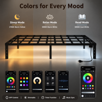 Offre Spéciale : Cadre de Lit Plateforme en Métal Personnalisé avec Lattes en Fer, Silencieux, Station de Recharge et Éclairage LED RGB