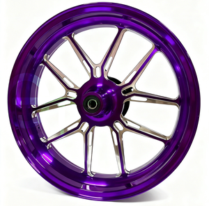Roues pour climat tropical pour Honda FORZA350 - Product Image 2