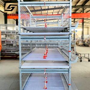 Nuevo Sistema Manual de Limpieza a Batería para Jaulas de Cría de <span class=keywords><strong>Pollos</strong></span> de Engorde para una Avicultura Eficiente - Product Image 3