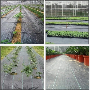Control de malezas Paisaje agrícola Tela Cubierta de suelo Anti-Malezas Barrera Mat Plástico PE PP Corte y tejido personalizado - Product Image 2