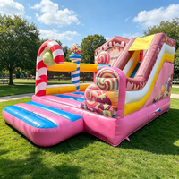 Petit château gonflable d'intérieur, trampoline pour bébé, aire de jeux pour enfants et adultes, thème animal, toboggan gonflable à vendre