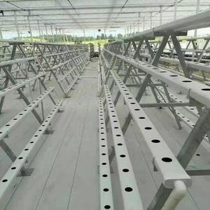 Serre industrielle <span class=keywords><strong>Culture</strong></span> intérieure sans sol Un cadre <span class=keywords><strong>Fraise</strong></span> <span class=keywords><strong>Hydroponique</strong></span> NFT PVC Système de <span class=keywords><strong>culture</strong></span> de tuyaux - Product Image 5