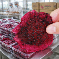 Premium Gedroogde Drakenvrucht 500g |   100% natuurlijke rode pitaya chips, zonder toegevoegde suiker, gezonde veganistische snack voor kinderen & volwassenen