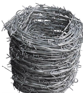 Alambre de púas electro galvanizado de acero con bajo contenido de carbono tipo Clase 1 para alambre de púas de seguridad de muro fronterizo - Product Image 2