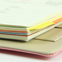 ECO Couleur A5 Page Papier Séparateurs Filofax cahier à feuilles mobiles Inserts Organisateur Entretoise 6 trous Séparateur Page Planificateur Indice
