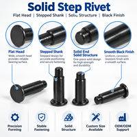 TianFang Custom Pan Head Black Zinc Plated Stainless Steel Solid Step Rivets, End Cap Fasteners, ISO Certified, for Car Wipers