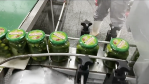 2024 cao cấp nguyên liệu ngâm dưa chuột trong Jar Hữu Cơ tươi đóng hộp dưa chuột từ Trung Quốc - Product Image 6