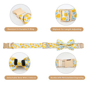 Großhandel individueller loslösbarer Hundekragen Charme niedlich bequem Schnelltück Haustier Katze Hundekragen - Product Image 2