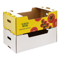 6 MM Geëmbosseerde Kunstpapier Kartonnen Standaarddozen Met Sponsvoering, Op Maat Gemaakt, Recycleerbare Verpakking voor Fruitbakken, Landbouw, Retail