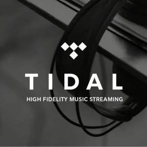 Suscripción Premium a Tidal Music por 12 Meses, Cuentas Tidal, Tidal Hifi Plus 1 Año - Product Image 2