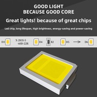 Bande lumineuse LED monocolore LangChi Premium 2835 SMD, ruban linéaire, décoration de plafond, éclairage extérieur, guirlande lumineuse