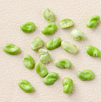 Habas Verdes Tostadas, Sin GMO, Sin Freír, Bajas en Grasa, Altas en Proteínas, con Clorofila Natural, Snack Saludable con Antioxidantes