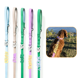 Custom Wholesale Coated Webbing Waterproof PVC Dog Leash with Soft Personalized Silicone Slide Alphabet Letters Charm Clip
