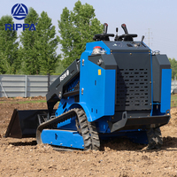 Bon prix, chargeuse à chenilles Rippa, chargeuse d'occasion, chargeuse à chenilles Caterpillar avec plusieurs accessoires