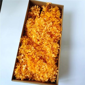 Fiore di ortensia conservato essiccato della migliore qualità da 100g per forniture di nozze - Product Image 5