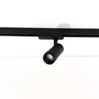 Angle de faisceau réglable de 20-60 degrés Zoomable 3-Phase Track Rail Spot LED Plafonnier 2700K Downlight Aluminium pour une utilisation en intérieur