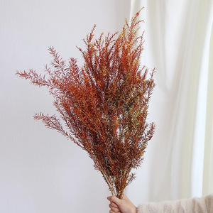 Mirtilli Dorati Sbiancati <span class=keywords><strong>e</strong></span> Conservati, Senza Rami Neri, per Fioristi <span class=keywords><strong>e</strong></span> Fai-da-Te, Fornitura per Bouquet - Product Image 5