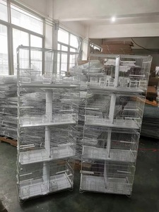 Vente en gros de nouvel arrivage double cage d'élevage d'oiseaux perroquet gris africain en acier inoxydable avec séparateur Cage à oiseaux en métal - Product Image 6