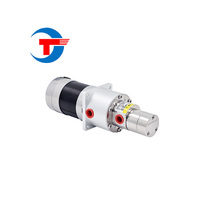 Pompa Mikro Gear Tanpa Seal dengan Kopling Magnetik untuk Transfer Pelarut dan Deterjen pada Peralatan Cuci Perawatan Mobil