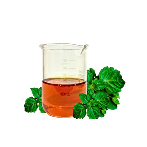 Aroma Atsiri Indonesia, Aceite de Fragancia de Pachulí Natural de Primera Calidad (Modelo PATCHOULI OIL EARTH 34), Aroma Dulce Balsámico para - Product Image 1