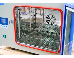Venda quente escola biologia laboratório equipamentos hospital aquecimento elétrico forçado ar secagem forno laboratório