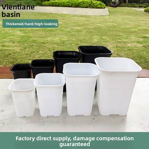 <span class=keywords><strong>Pot</strong></span> carré en plastique pour bonsaï, style japonais, taille haute, épaissi, respirant, pour semis de succulentes, conteneur de pépinière en gros - Product Image 5