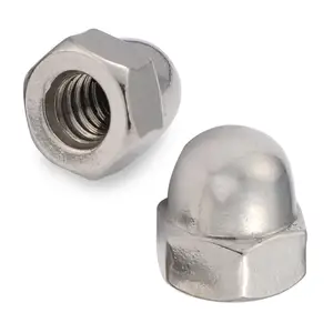 Stainless Steel Din1587 Hex Domed Cap Nut