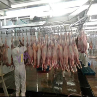 Línea de matanza de ovejas, máquina completa de matanza de cabras, sistema de riel de proceso de canal con plataforma de trabajo para matadero de ovejas