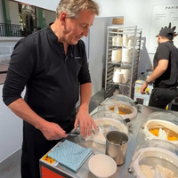 Machine à Gelato Commerciale Miles Galaxy Pro V4 Approuvée par la NSF, Fabricant de Glaces Haut de Gamme, Machine à Faire des Glaces TOFU G, Machine à Gelato Pozzetti