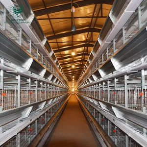 Équipement de ferme avicole Cage à œufs de poulet Fournisseur direct d'usine Offre Spéciale