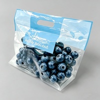Sachet personnalisé transparent à fermeture éclair coulissante avec poignée, pochette en plastique imprimée autoportante pour l'emballage et la présentation de fruits frais en supermarché