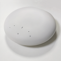 WiFi Müzik Akış Cihazı Hifi Stereo Sınıf D DAC DSP Ses Alıcısı Ev Amfisi CL-BOX A98