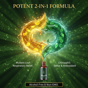 สารสกัดจากใบไม้ป่ามอเรียธรรมชาติ <span class=keywords><strong>ช่วย</strong></span>ดีท็อกซ์ตับ สูตรสมุนไพรที่อุดมด้วยคลอโรฟิลล์ วิตามินซี และแอสตาแซนธิน บรรจุในขวด - Product Image 3