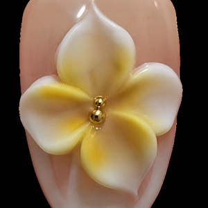 Faux Ongles à Presser Coquillage Perle Fleur Étoile de Mer Paillettes Amande pour Salon, Fête, Plage - Product Image 3