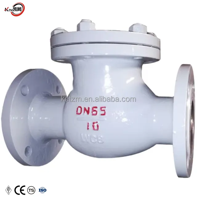 중국산 DN65-10c 탄소강 플랜지 체크 밸브 WCB
