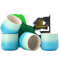 Ensemble de tasses en céramique TEANAGOO avec glaçure dégradée, logo personnalisé, style Japandi, chawan en porcelaine résistant à la chaleur pour la cérémonie du thé