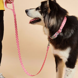 OEM Factory Design Graffiti imbracatura collari e guinzagli Multi-taglie personalizzate per la produzione di cani di piccole e grandi dimensioni originale - Product Image 5