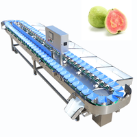 Fruit- en groenteweeg- en sorteermachine, PLC-gestuurd, hoge capaciteit, aanpasbaar, merk Kehong, model KHLH-6J, 220V, 0.75kW