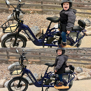 Vélo cargo électrique 48V double 15AH, autonomie 120KM, moteur roue arrière 750W en alliage d'aluminium, vélo de ville - Product Image 2