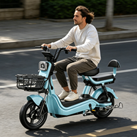 Vélo électrique à batterie au plomb 48V, vente directe d'usine, très demandé, pour adultes, idéal pour les trajets en ville