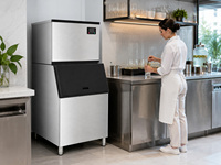 Machine à glaçons commerciale 227 kg/24 h, refroidie par air ou par eau, pour bar et restaurant