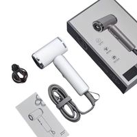 Sèche-cheveux portable professionnel pour perruques, idéal pour le coiffage et les salons de beauté
