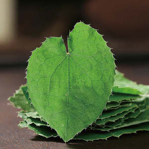 Bestseller Kräuter Horny Goat Weed Penisvergrößerung Epimedium-Extrakt Chinesisches Kräuterpräparat Epimedium - Product Image 3