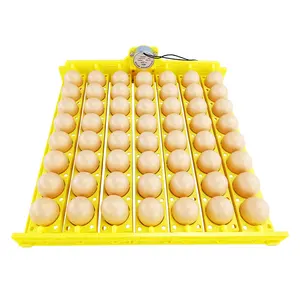 Bandeja mais popular para ovos de galinha 56 com motor de torneamento para incubadora de ovos