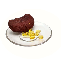Huile de spores de champignon Reishi Lingzhi Ganoderma Lucidum en gélules (qualité alimentaire, 20 % de triterpène, testée UV, 500 mg * 500 pièces/sac, CAN/Drum)